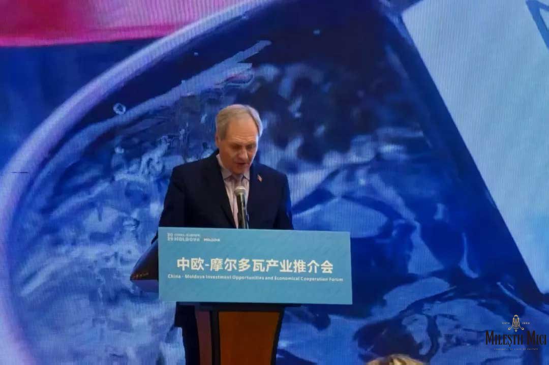 米茨酒庄的丝路之约：东欧佳酿邂逅长安