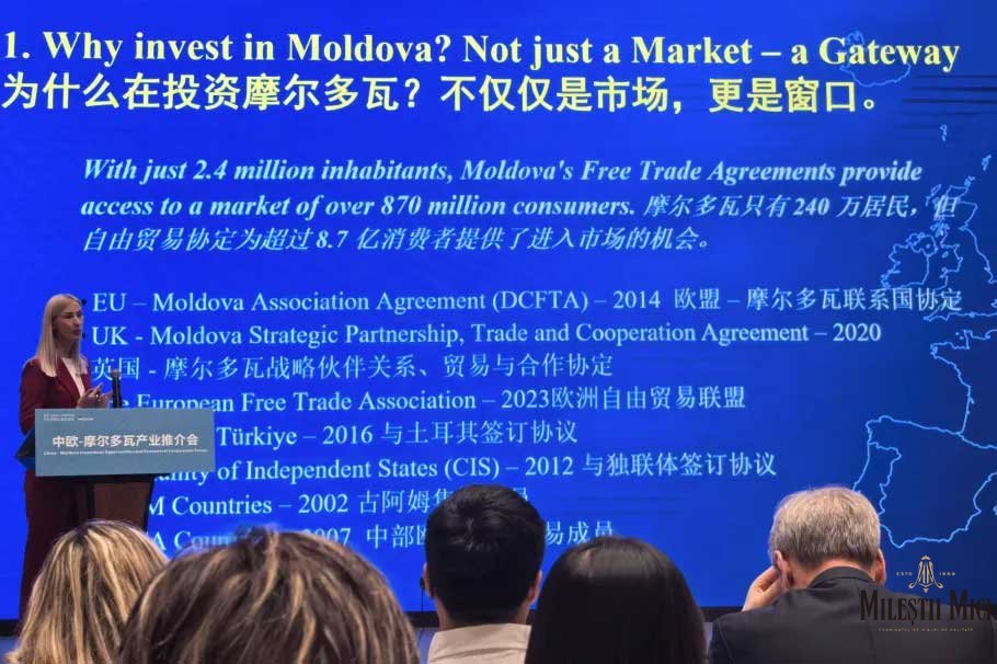 米茨酒庄的丝路之约：东欧佳酿邂逅长安